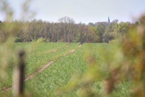 Ein Acker mit innovativen Technologien zur nachhaltigen Landwirtschaft und neuen Ideen für Futtermittel.