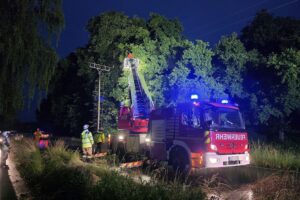 Feuerwehr im Einsatz, Äste an Stromleitung, präventive Maßnahmen gegen Brandgefahr.