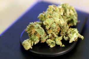 Drogenkontrolle: Polizei beschlagnahmt Marihuana und Haschisch in Ulm bei Festnahmen.
