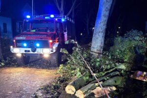 Feuerwehr im Einsatz bei Unwetter, umgestürzte Bäume und brennende Garage. Sicherheitsmaßnahmen aktiv.