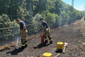 Feuerwehr löscht Vegetationsbrand im Gleisfeld am Hauptbahnhof Stuttgart, Rauch und Feuer sichtbar.