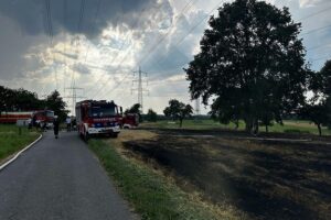 Großeinsatz der Feuerwehr bei Flächenbrand auf abgeerntetem Getreidefeld mit Rauchentwicklung.