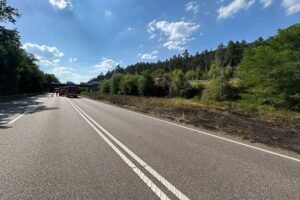 Brandfläche am Straßenrand der B10, Feuerwehr löscht Vegetation nach Lkw-Reifenplatzer.