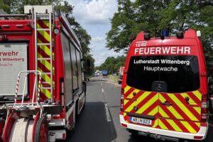 Schwerer Verkehrsunfall mit eingeklemmtem Autofahrer, Rettungseinsatz und Verkehrsbehinderungen auf B187.