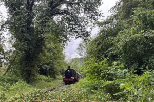 Feuerwehr entfernt umgestürzten Baum von Bahngleisen in Hattingen, Museumszug steht bereit.
