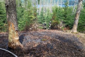 Waldbrand im Kermeter, Feuerwehr löscht brennenden Waldboden mit Löschfahrzeugen und Handwerkzeugen.