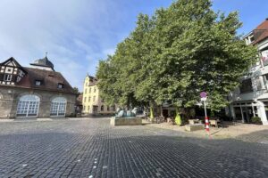 Bamberg: Neues Klimaprojekt mit mehr Grün, Wasser und Schatten für die Innenstadt.