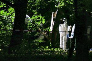 Ein Kleintransporter rast beim Berliner CSD in eine Menschenmenge, prallt gegen einen Baum, danach Flucht.