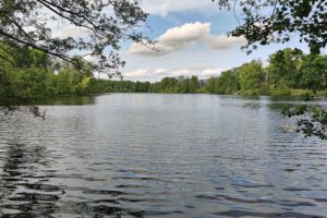 Badesee im Sommer: Menschen im Wasser, Archivfoto zur DLRG-Statistik tödlicher Ertrinkungsunfälle.