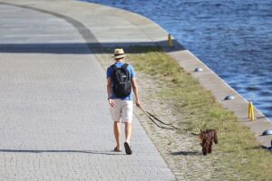 Mann geht mit Hund; Wetterbericht: Juli 2026 sonnig, warm und trocken in Südwesten Deutschlands.
