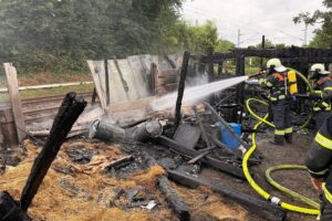 Feuerwehrleute löschen Feuer in Gartenparzelle; brennender Hühnerstall, gerettete Hühner, Einsatzkräfte.