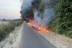 Feuerwehr löscht Vegetationsbrand in einem Waldstück in Dortmund-Lanstrop, mit C-Rohren und Nachlöscharbeiten.