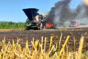 Feuerwehr im Einsatz in Brettorf: Flächenbrand droht zu Scheune und Baumreihen überzugreifen, wird gelöscht.