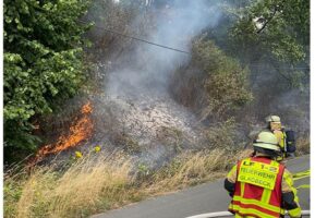 Flächenbrand an Autobahn, Feuerwehr löscht, dicke Vegetation, Einsatzkräfte arbeiten zusammen, Rauch und Flammen.