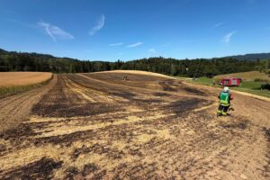 Feuerwehr im Einsatz bei Flächenbrand: brennendes Feld nahe Lippertsreute-Ernatsreute, Rauchentwicklung, Löschfahrzeuge.