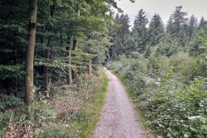 Waldweg im Archiv, Warnhinweis vor erhöhter Waldbrandgefahr in Nordrhein-Westfalen.