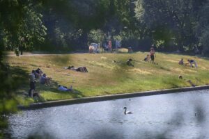 Politiker vor Hitze: Sommerhitze in Deutschland, Linke präsentiert 5-Punkte-Hitzeschutzplan mit kühlen Rückzugsorten.