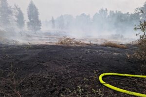 Brandbekämpfung in Meuselwitz: Feuerwehr und Hilfsorganisationen kämpfen gegen Glutnester im Untergrund.