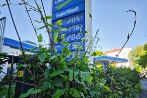 Tankstelle mit Preisanzeige, wo Preise nach Tankrabatt sprunghaft steigen, besorgte Verbraucher.