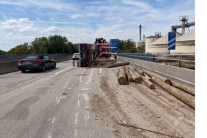 Schwerer Unfall auf der A60: umgekippter Lkw mit Baumstämmen auf Fahrbahn und Fahrradweg, Sperrung der Weisenauer Brücke.