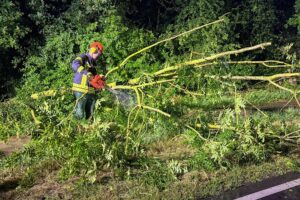 Feuerwehr im Einsatz nach Unwetter: umgestürzter Baum auf der Fahrbahn, Hochwasser in Flotwedel-Bröckel.