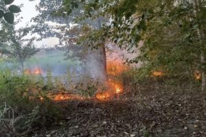 Feuerwehr Dortmund löscht Vegetationsbrand: Grünstreifen brennt, mehrere Brandstellen im Wald, Archivfoto.