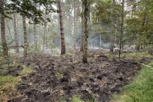 Rauchentwicklung im Wald, Feuerwehr im Einsatz, Hubschrauber zur Brandbekämpfung, dunkler Himmel.