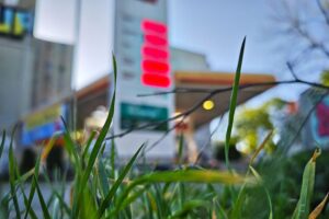 Tankstelle im Archiv: gestiegene Diesel- und Super-E10-Kraftstoffpreise im Juli 2026.