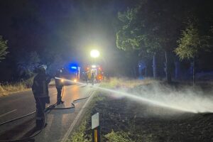Feuerwehr löscht einen Flächenbrand an der L371 bei Lüttelforst; trockener Grünstreifen, Wärmebilddrohne im Einsatz.
